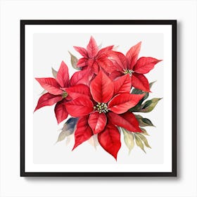 Poinsettia 24 Art Print