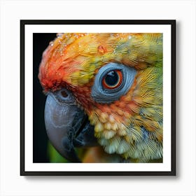 Colorful Parrot 5 Art Print