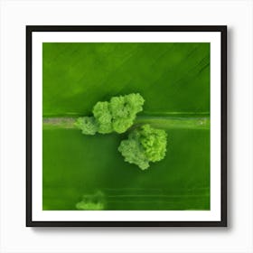 Plant Texture Green Nature Field Summer Crop Natural Environment Spring Grass Turf Folia (2) Art Print