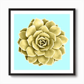 Yellow Succulent Plant on Teal Art Print