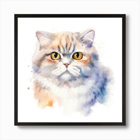 Scottish Fold Longhair Cat Portrait 3 Art Print