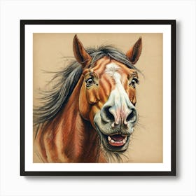 Horse'S Face Art Print