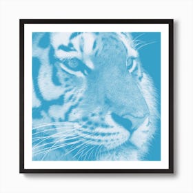 Tiger Pastel Blue Square Art Print