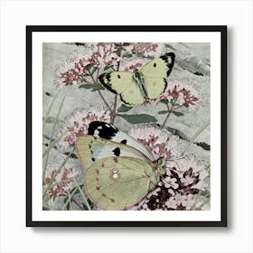 Two Butterflies On Pink Flowers Art Print