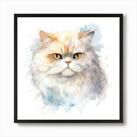 Domestic Shorthair Persian Cat Portrait 3 Art Print