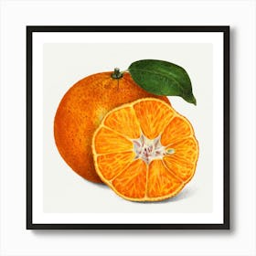 Tangerine 1 Art Print