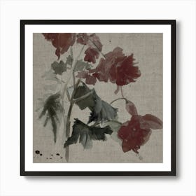 Geraniums Art Print