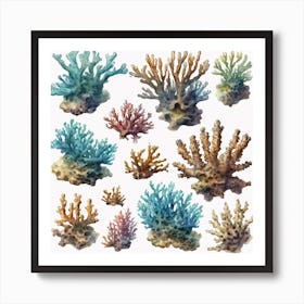 Coral Reefs Art Print