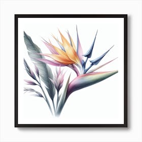 Flower of Bird of Paradise 2 Art Print