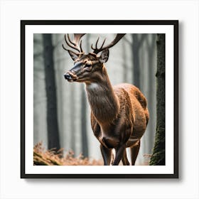 Deer In The Forest 12 Art Print