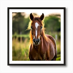 Grass Horse Mammal Animal Head Steady Offspring Beauty Riding Horse Mare Dam Cute Streng (5) Art Print