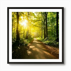 Firefly Sunlit Path Forest Background 93073 Art Print