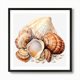 Sea Shells On Black Background Art Print