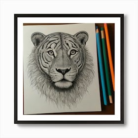 Tiger Drawing Art Print