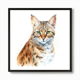 Bengal Marbled Cat Portrait 1 Art Print