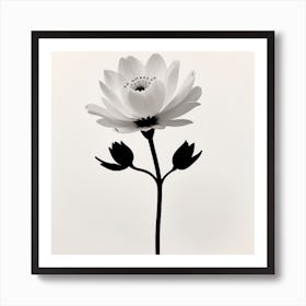 Minimalist Flower Art Print