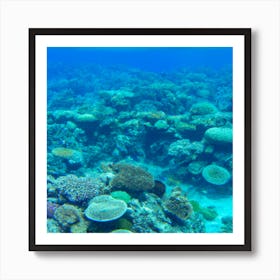 Great Barrier Reef8 Art Print