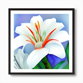 White Lilly Art Print