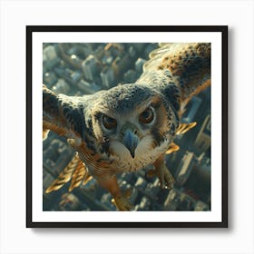 Hawk In Flight Art Print