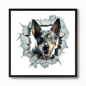 Australian Cattle Dog 2 Art Print