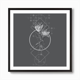 Vintage Orange Bulbous Lily Botanical with Line Motif and Dot Pattern in Ghost Gray n.0380 Art Print