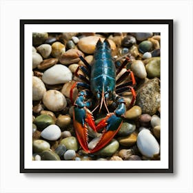 Lobster On Rocks Stock Photo Art Print