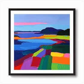 Colourful Abstract Acadia National Park Usa 4 Art Print