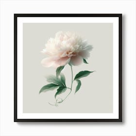 Peony 2 Art Print