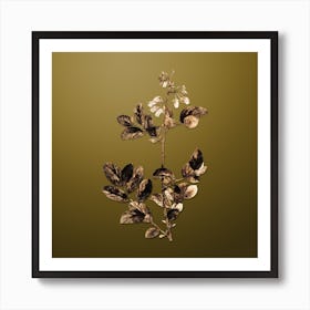 Gold Botanical Andromeda Mariana Branch on Dune Yellow n.2540 Art Print