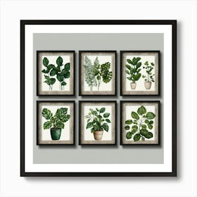 Set Of Six Botanical Framed Prints Art Print