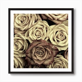 Brown Roses Art Print