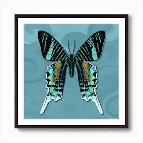Mechanical Butterfly The Urania Leilus On A Light Blue Background Art Print