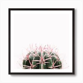 Cactus Red Art Print