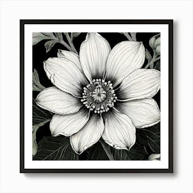 Black And White Flower, Illustrate A Close Up Of A Blooming Flower With Intricate Art Print