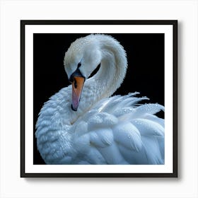 White Swan Beak Art Print