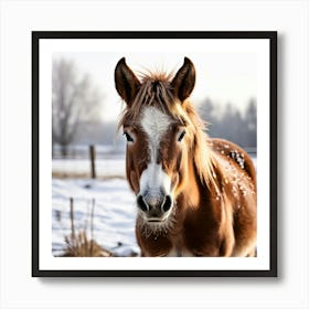 Horse Animal Grass Breeding Head Pasture Donkey Standing Farm Cute White Background Natu (6) Art Print