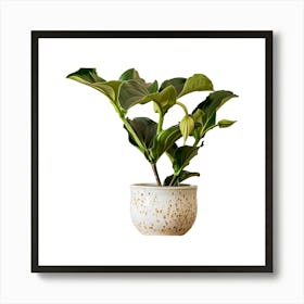 Potted Plant Art Print