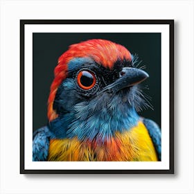 Colorful Bird 17 Art Print