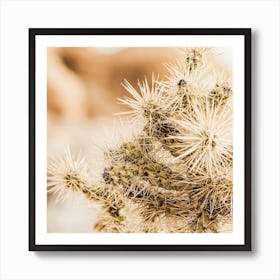 Sharp Cactus Spines Square Art Print