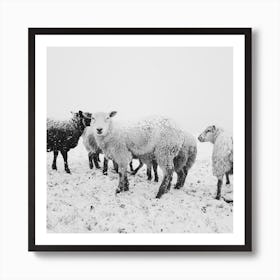 Ewe Art Print