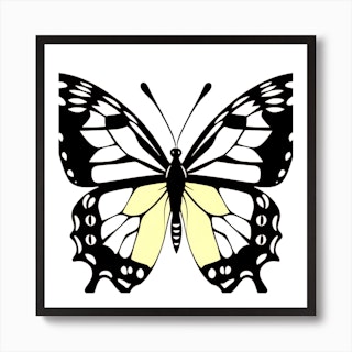 Monarch Butterfly Art Print - Claudine Intner