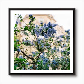 Paris Garden IV Art Print