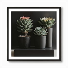 Three Succulents On A Black Stand Art Print