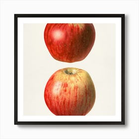 Apple Painting Affiche