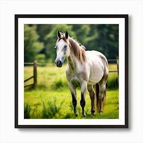 Horse Ranch Pony Animal Farm Nature Pet Farm Animal Summer Grass Head Mammal Green Mare (4) 1 Art Print