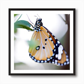 Butterfly On A Leaf Art Print