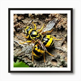 Wasp nature 3 Art Print