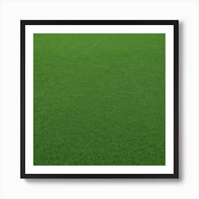 Grass Field 5 Art Print