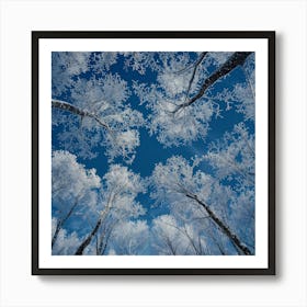 Snowy Forest 4 Art Print