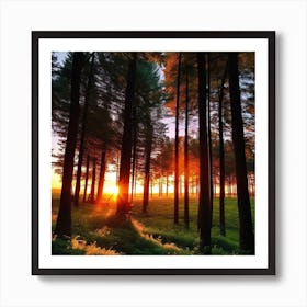 Sunrise In The Forest 11 Art Print